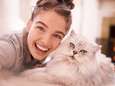 Hilarisch: Snapchat lanceert filters voor kattenselfies