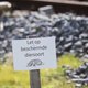 De dassen lijken vertrokken. ProRail positief over spoorherstel in Brabant