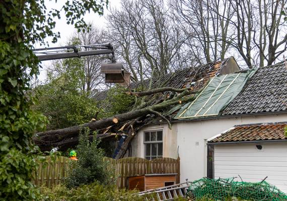 Stormschade? Dít kun je claimen bij de verzekering