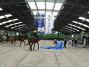 De paarden en hun ruiters moeten niet schrikken van obstakels op de weg, hier uitgebeeld met een blauwe deken.