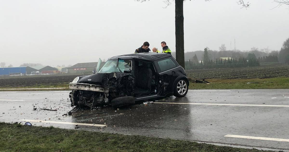 Vrouw (42) uit #Hoogerheide botst tegen boom en raakt bekneld, weg bij #Ossendrecht weer vrij.