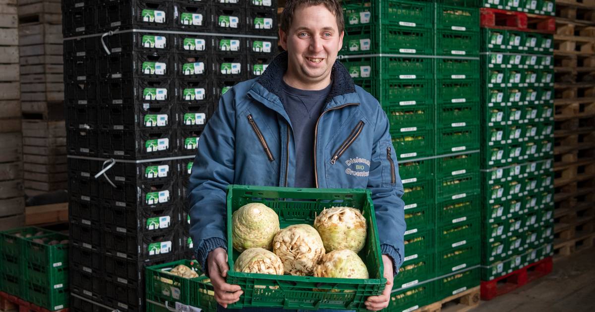 Biologische boerenmarkt op vrijdagmiddag in Terneuzen
