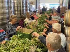 Stichting in Altena op zoek naar nieuwe plekken om hop te verbouwen