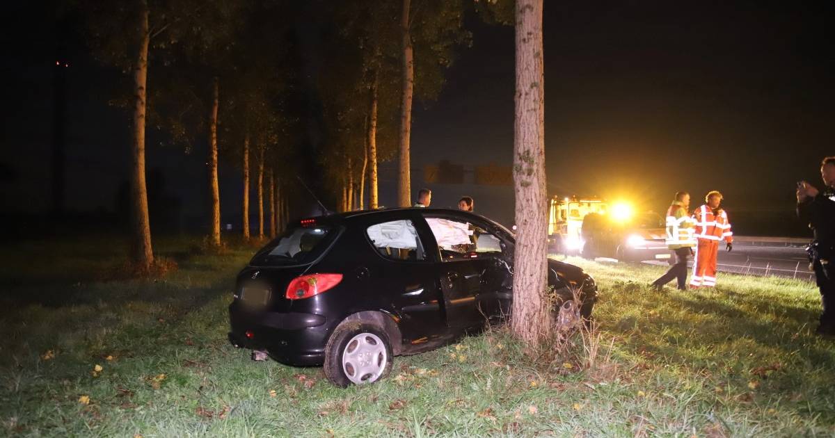 Automobilist wijkt uit voor truck en botst tegen boom langs de A15 bij Enspijk - De Gelderlander