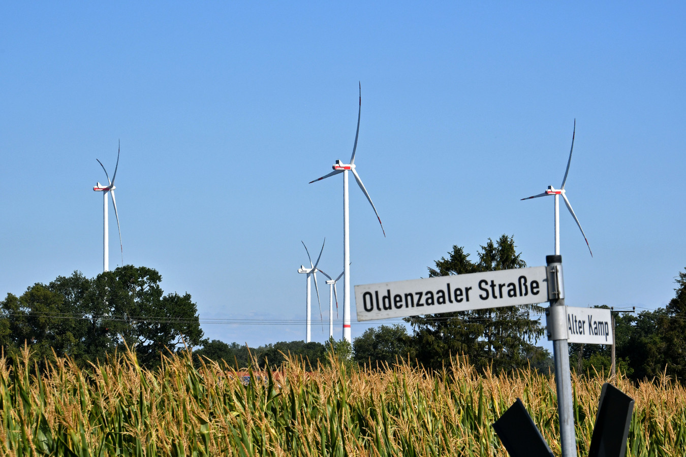 Windmolens net over de grens bij De Lutte. De Stichting Behoud Twents Landschap vreest dat dergelijke molens ook aan de Nederlandse kant van de grens komen en ageert daar fel tegen. Te fel, meent de gemeente Losser.