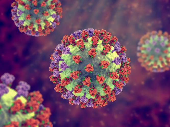 Is dit griepvirus verdwenen door onze lockdowns? “Zou eerste keer zijn dat we zo’n virusstam uitroeiden door ons gedrag”