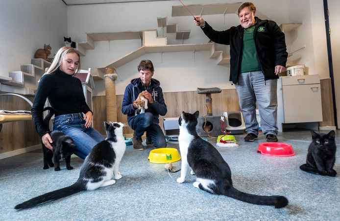 Er is een overschot aan kittens bij het dierenasiel aan de Beemdstraat in Helmond. Van links naar rechts: Didi Romero, David Parrin en Twan Spierings.