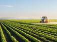 Le rapport pointe notamment que 60% des subventions accordées au travers de la Politique agricole commune (PAC), équivalant à 32,1 milliards d’euros par an, sont dépensées pour financer des exploitations agricoles à large échelle.