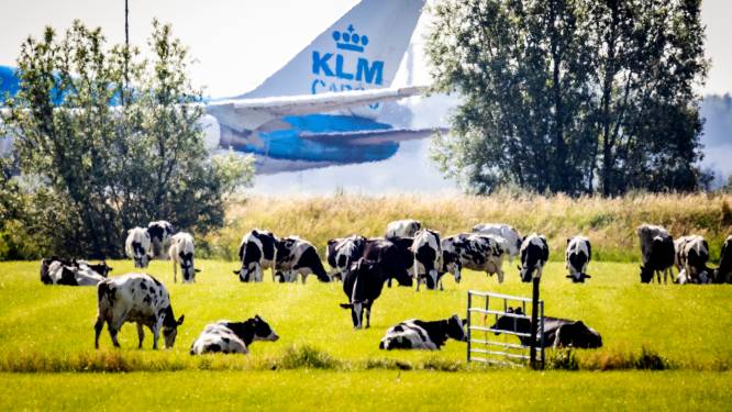 Nederland is vrij vol, en in een veranderend klimaat leidt dat tot steeds meer problemen