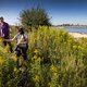 Deze natuurliefhebbers zoeken vijfduizend verschillende planten en diertjes langs de rivier