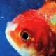 Staples' 'Big Fish Theory' heeft lef en visie in overvloed