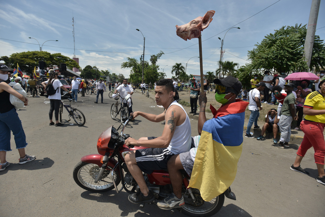 Betogers rijden met de kop van een varken rond door Cali tijdens een protest tegen president Iván Duque.  Beeld Getty Images