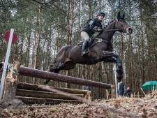 Gemeente Landerd en paardenbedrijf Schaijk met elkaar rond de tafel over trainingen