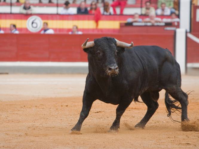 Drama op Spaans festival: stier doorboort man (26), slachtoffer sterft in ziekenhuis
