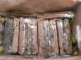 Plus de 2,5 tonnes de cocaïne cachées au milieu de... bananes interceptées par les douanes à Anvers