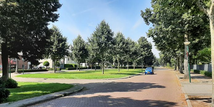 De Vossenbergselaan in Kaatsheuvel.