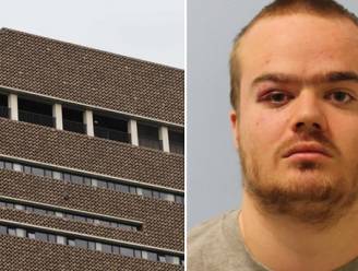 Tiener bekent moordpoging in Tate Modern nadat hij jongetje (6) van tiende verdieping had gegooid