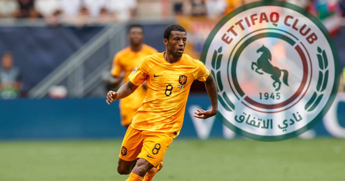 Georginio Wijnaldum chooses a lucrative contract with the Saudi agreement |  sports