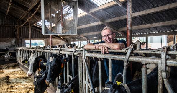 Gemist? Boer uit Luttenberg bouwt douche voor zijn koeien en steekpartij in Apeldoorn blijkt gefilmd: Ben je er niet aan toegekomen om al het regionale nieuws vandaag te volgen?