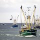 Vissers hijsen piratenvlag tegen windturbines: ‘De trillingen jagen de vissen kilometers ver weg’