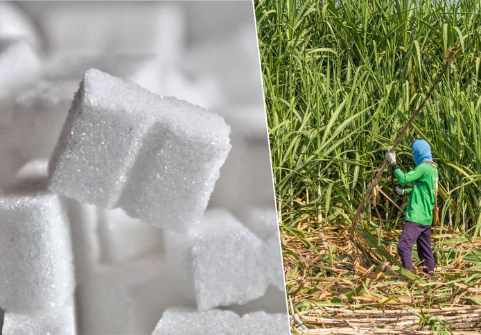 Onder andere door teleurstellende suikerrietoogsten is de prijs van witte suiker naar het hoogste niveau in tien jaar gestegen.