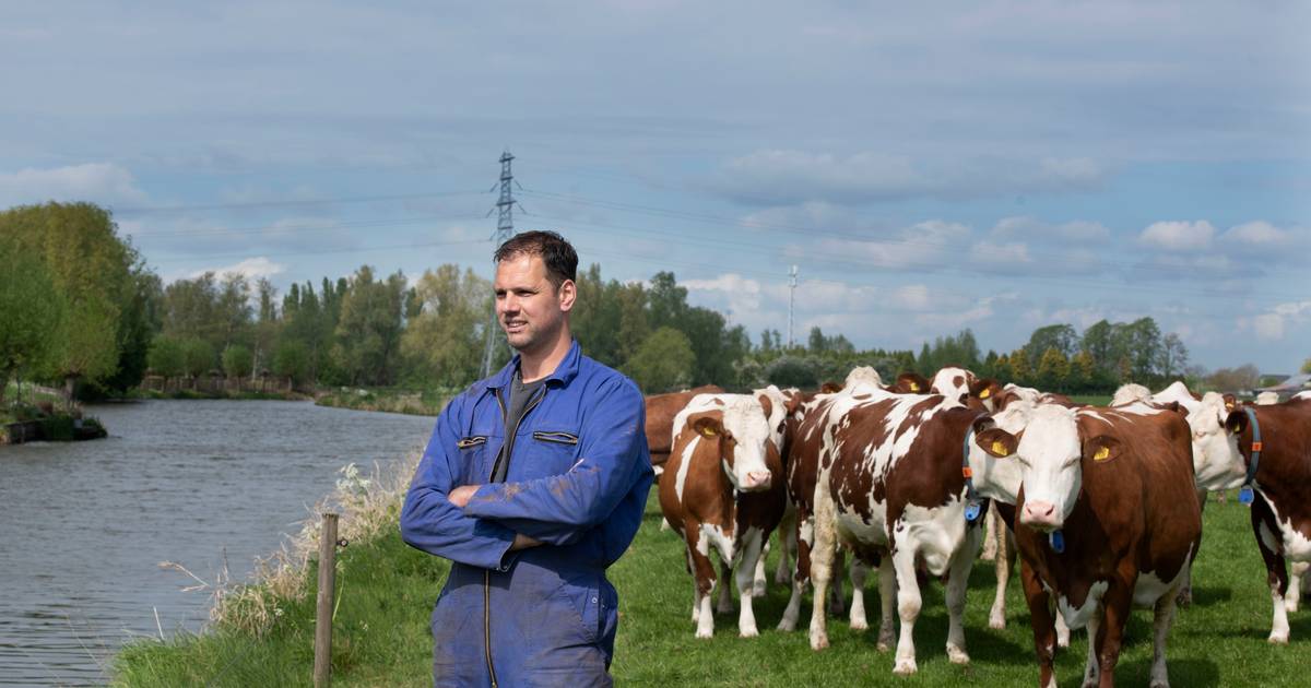 Boer zoekt brug; want koeien willen aan overzijde Linge grazen