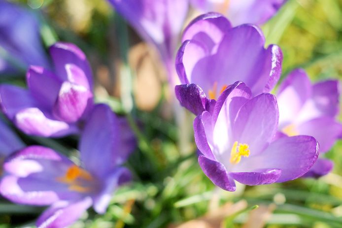 Op sommige plekken gebruiken mensen gemeentelijke grond als deel van hun tuin, bewust of onbewust.