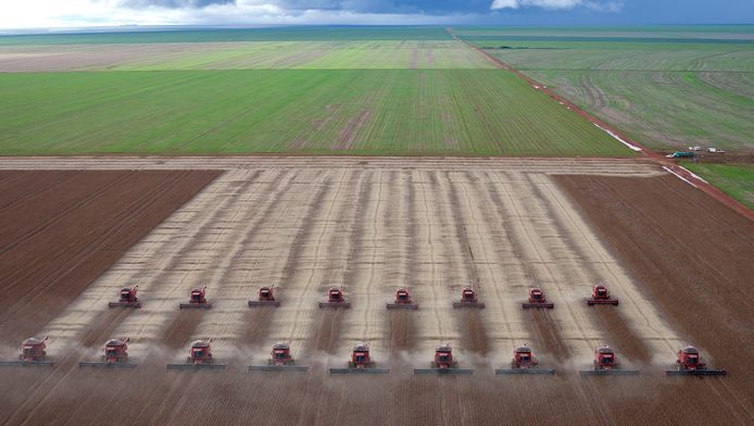Uitgestrekte sojaplantages in Brazilië, de tweede grootste sojaproducent ter wereld.