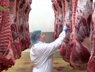"FAVV wist al 2 jaar van vleesfraude bij Veviba"