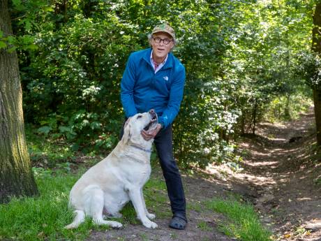 Jonge wolf gespot in Amerongen: ‘Hij liep naast me op 10 meter afstand’