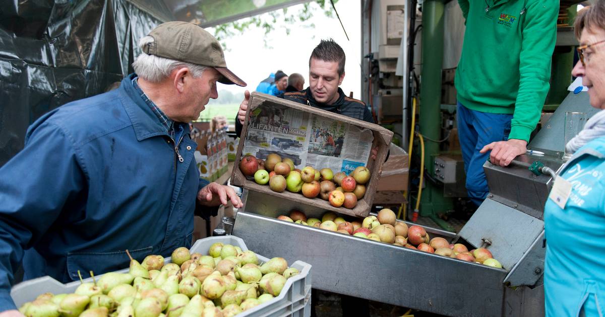 Duizenden kilo's appels en peren door de pers op Appelpersdag in Wijhe | Olst-Wijhe