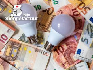 Btw-verlaging doet energiefactuur gemiddeld gezin met ruim 500 euro dalen, maar stoot nog op verzet binnen meerderheid: “Boerenbedrog”