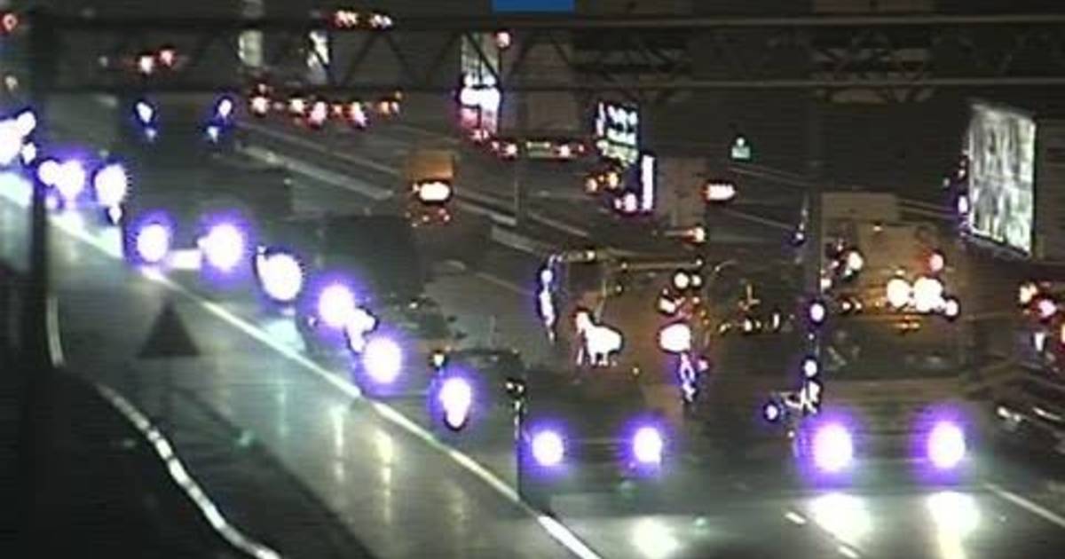 Lange file op A58 na ongeval bij Oirschot.