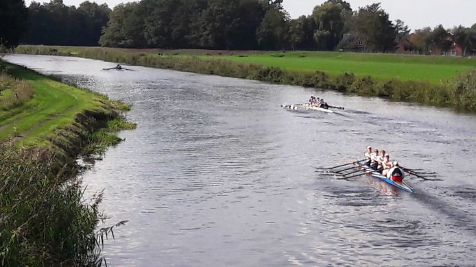 Een aantal vieren op de Vecht.