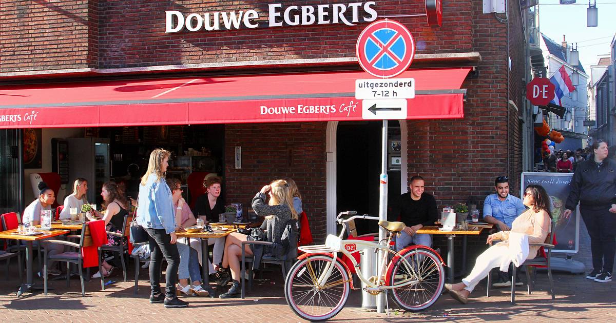 longontsteking Inspecteur Kampioenschap Toch weer een Heavenly Hazel of Lazy Noon: Douwe Egberts Café komt terug  naar Enschede | Enschede | tubantia.nl