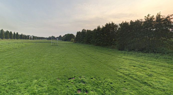 Groenstrook langs de Bergenboulevard met bestaande houtwal.