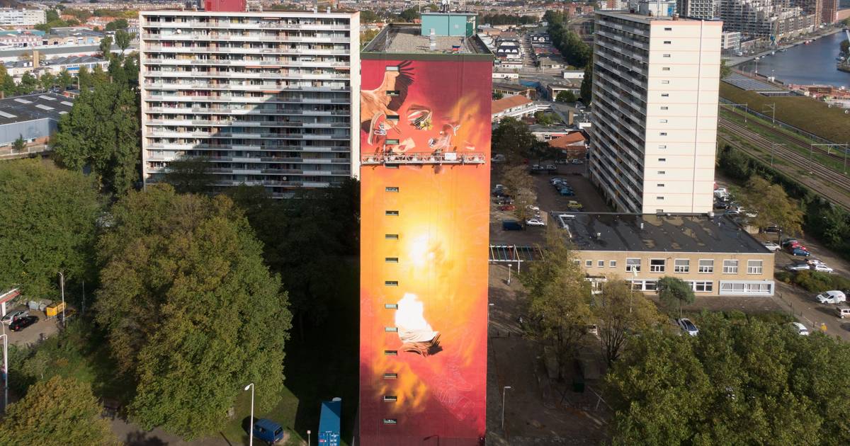Moerwijk krijgt tweede reusachtige muurschildering | Den Haag