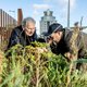 ‘Botanische hotspot’ Amsterdam stelt een eigen lijst met te beschermen planten op