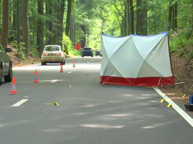 Vrouw biedt zich aan bij politie na dodelijke aanrijding: “Ze dacht dat het een tak of een ree was”