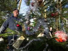 Versierde kerstboom in het bos is eerbetoon van Henk (82) aan zijn overleden Rietje