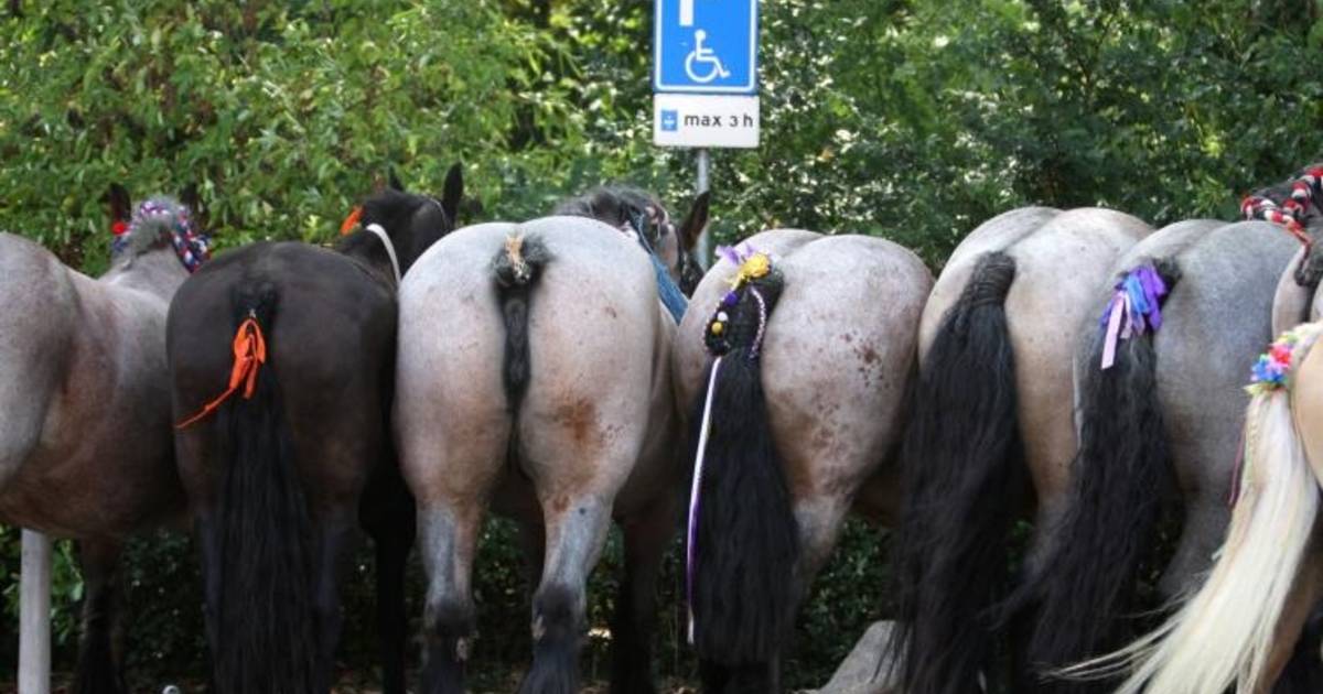Zoutelande 1 keert terug in eerste klas ringrijden