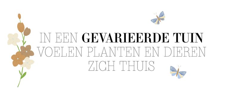 null Beeld 