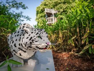 NINA zomert: Lego-beestjes zoeken in Planckendael