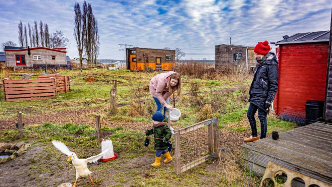 Te klein? Welnee! Iris en Bouke wonen op 25 vierkante meter mét baby (en zijn dolgelukkig)
