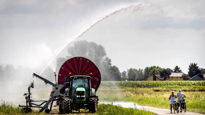 Natuurclubs blijven hameren op strengere regels voor beregenen:’zes maanden niets gebeurd’