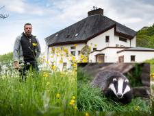Dassenbeschermer Jaap Dirkmaat: ‘Toen we nog met zeven miljoen waren, waren dieren geen probleem’