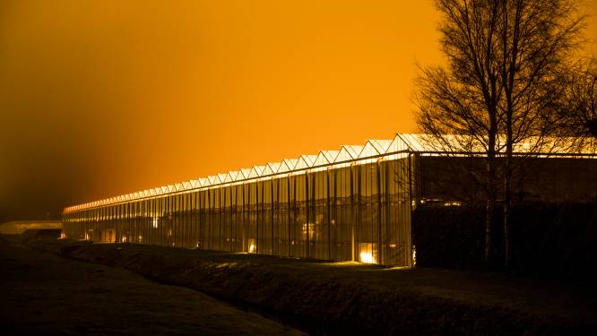 Bioloog: ‘Lichtvervuiling schaadt de natuur en is slecht voor de mens’