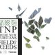 These New Puritans - Field of Reeds