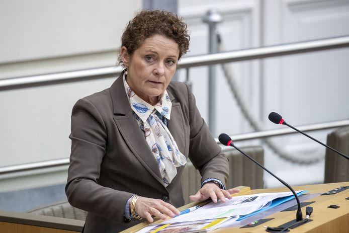 Vlaams minister van Mobiliteit Lydia Peeters (Open VLD).