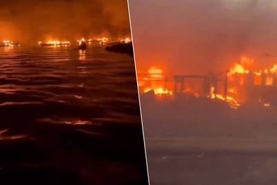 Les incendies fulgurants à Hawaï ont fait au moins six morts: “Des gens sautent dans l’océan pour échapper aux feux”